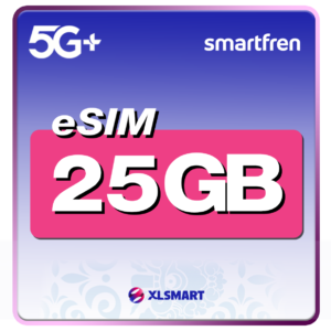 simcard 43gb
