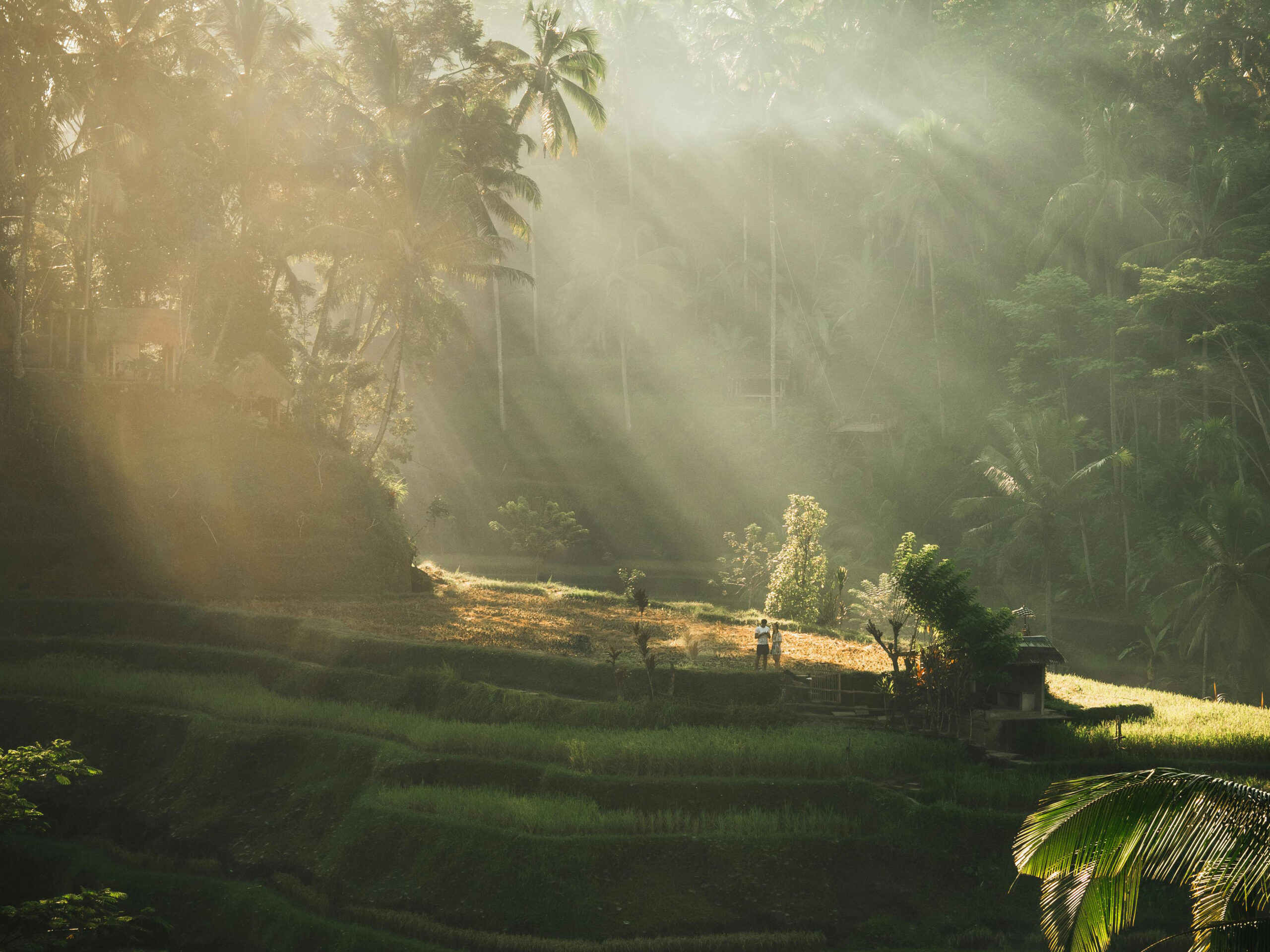 ubud